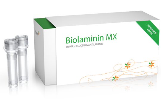 Biolaminin 521 MX