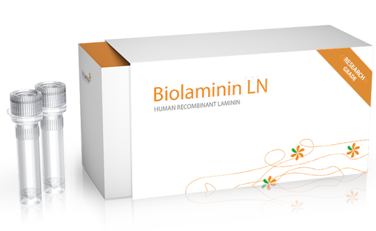 Biolaminin 521 LN